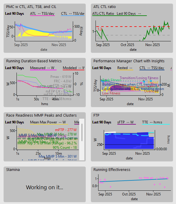 WKO Performance Metrics